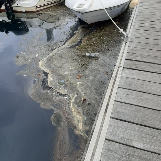Contaminación augas peirao deportivo Oza