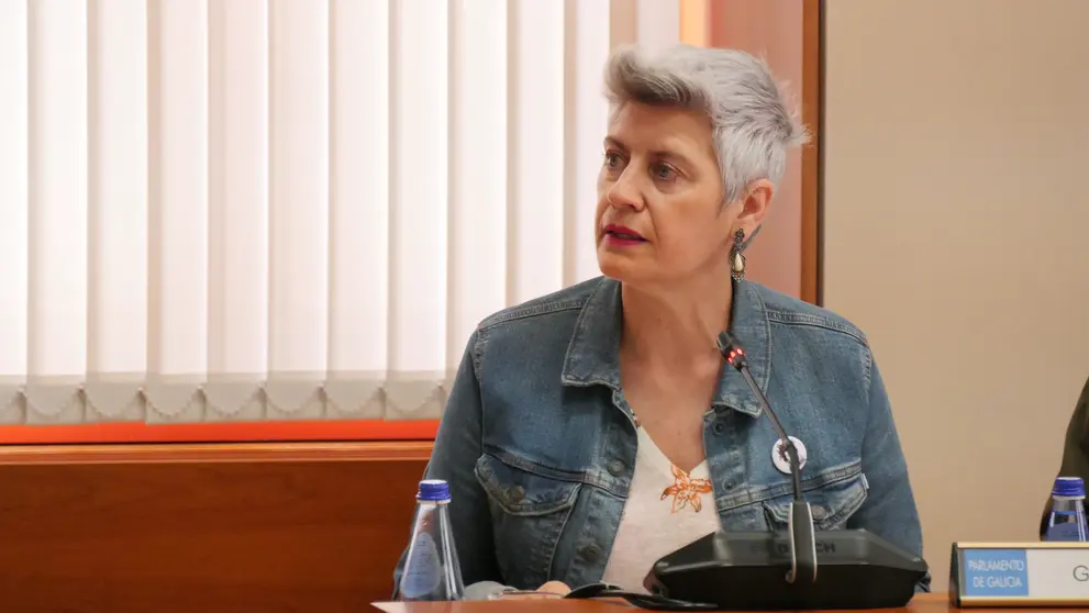 Mercedes Queixas COF Orillamar, Parlamento galego, debate 26 de xu&ntilde;o na Comisi&oacute;n de Sanidade.