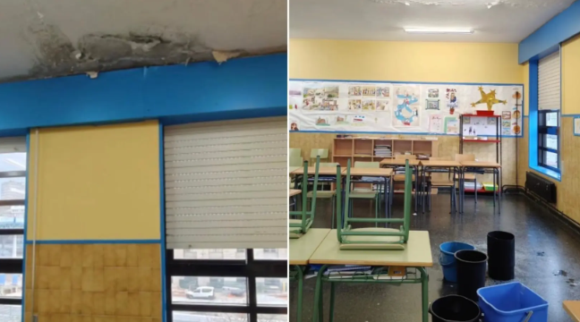 Pingueiras no CEIP Wenceslao Fern&aacute;ndez Fl&oacute;rez