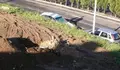 Veciñ@s de Palavea denuncian o soterramento de refugallos nas obras que acomete o Concello