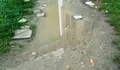A diferenza do Parrote, onde se podería pasar descalz@, o Camiño do Cura, nos Rosales, dá pena