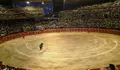 Visto o expediente, o BNG denuncia que as touradas custaron perto de 100.000