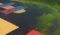 O BNG denuncia o estado da superficie do parque da praza Salvador de Madariaga