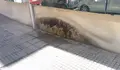 Melloras para o Centro da San Diego