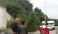 Demandamos ao Goberno municipal a roza de varias parcelas abandonadas en Pedralonga