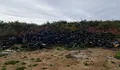 Cómpre que o Goberno Local elimine canto antes o vertedoiro ilegal de pneumáticos de Penamoa