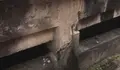 O BNG pide precintar o aparcamento do Coliseum para garantir a seguridade das persoas