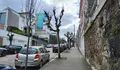 Temos 25 mil árbores, a metade do que nos correspondería como cidade