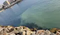 Jorquera alerta o Goberno Local sobre unha vertedura de fecais perto da Praia de Santo Amaro e pídelle medidas inmediatas para lle pór fin