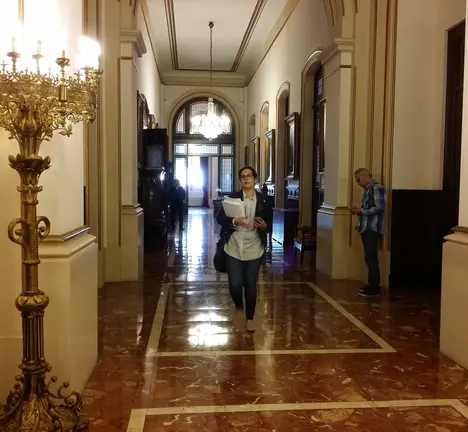 Avia veira accedendo ao sal&oacute;n de plenos do Concello antes da celebraci&oacute;n dunha sesi&oacute;n