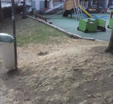 Situaci&oacute;n na que se atopa este espazo axardinado en Monte Alto