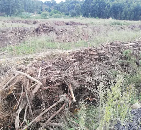 Dep&oacute;sito de Entullos e Refugallos na contorna do Castro de Elvi&ntilde;a