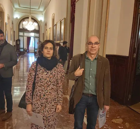 Pleno Aprobaci&oacute;n Definitiva Orzamentos 2020