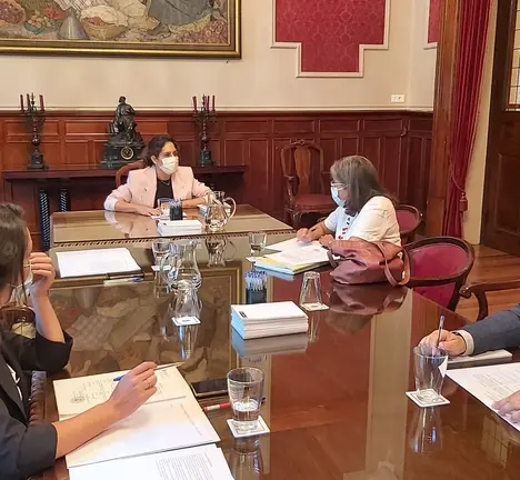 Comisi&oacute;n Educaci&oacute;n e Cultura. Preside Avia Veira.