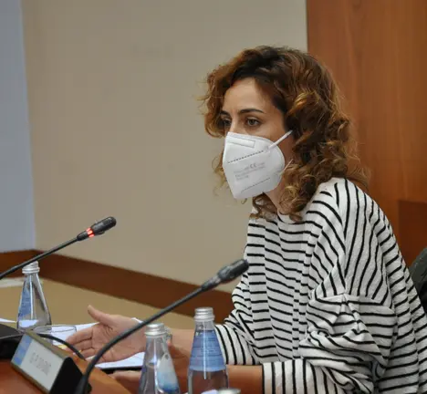 Alexandra Fern&aacute;ndez no Pleno