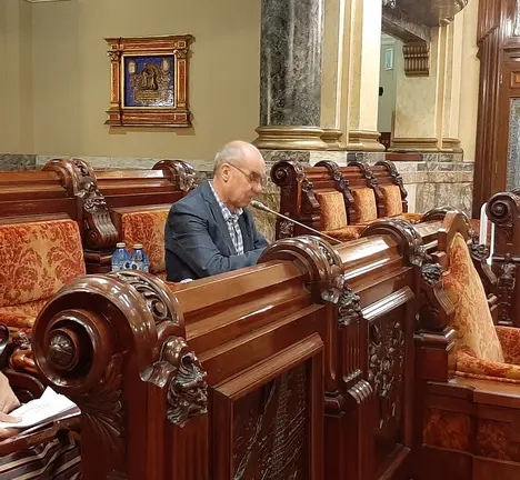 Pleno Regulamento do Consello Municipal da Cultura