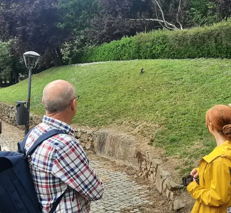 Paseo biodiversidade