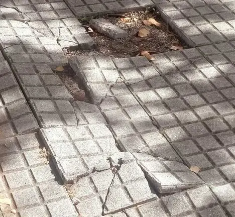 Beirarr&uacute;as Illas Sisargas Novo Mesoiro