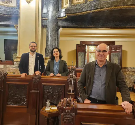 Grupo municipal BNG Pleno Febreiro