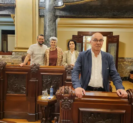 Grupo municipal BNG Pleno Xullo
