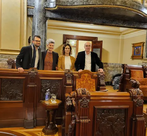 grupo municipal BNG pleno extraordinario 18D