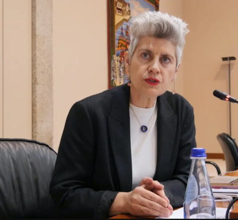 Mercedes Queixas comisi&oacute;n de Educaci&oacute;n e Cultura Parlamento galego