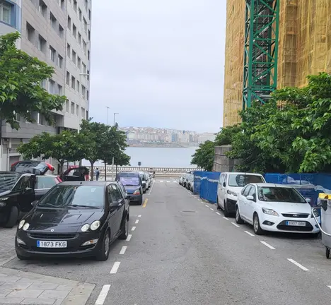 &Aacute;rbores r&uacute;a Marcela e Elisa tallada polas obras de peonalizaci&oacute;n da Praza da Tolerancia