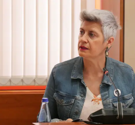 Mercedes Queixas COF Orillamar, Parlamento galego, debate 26 de xu&ntilde;o na Comisi&oacute;n de Sanidade.