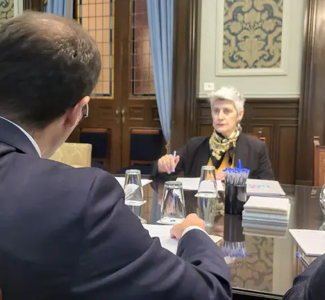 Mercedes Queixas no Padroado da Fundaci&oacute;n Lu&iacute;s Seoane, co proceso de escolla da persoa substituta da direcci&oacute;n na orde do d&iacute;a.
