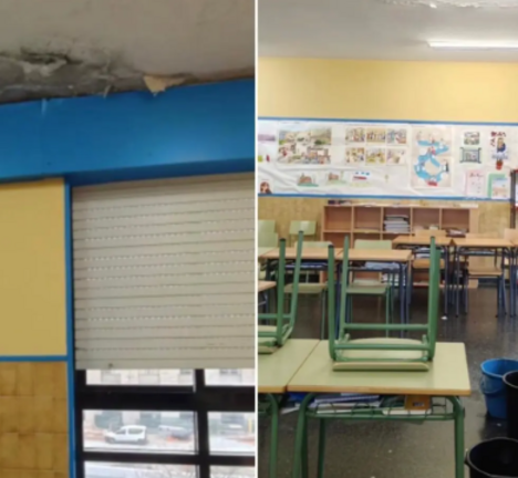 Pingueiras no CEIP Wenceslao Fern&aacute;ndez Fl&oacute;rez