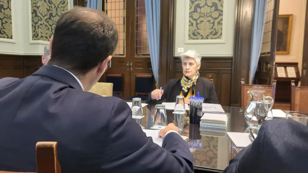 Mercedes Queixas no Padroado da Fundaci&oacute;n Lu&iacute;s Seoane, co proceso de escolla da persoa substituta da direcci&oacute;n na orde do d&iacute;a.