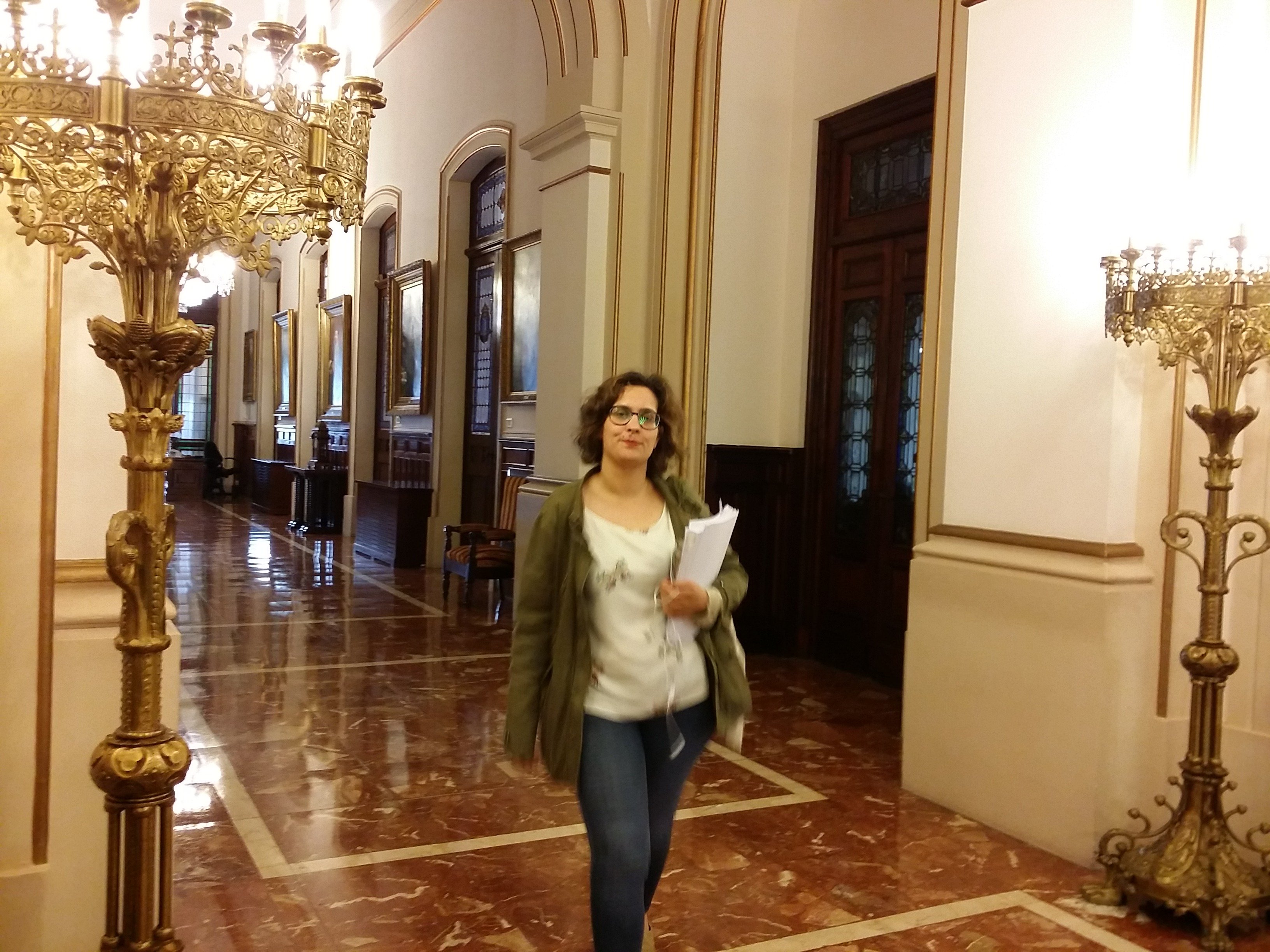 Avia á entrada do salón de plenos
