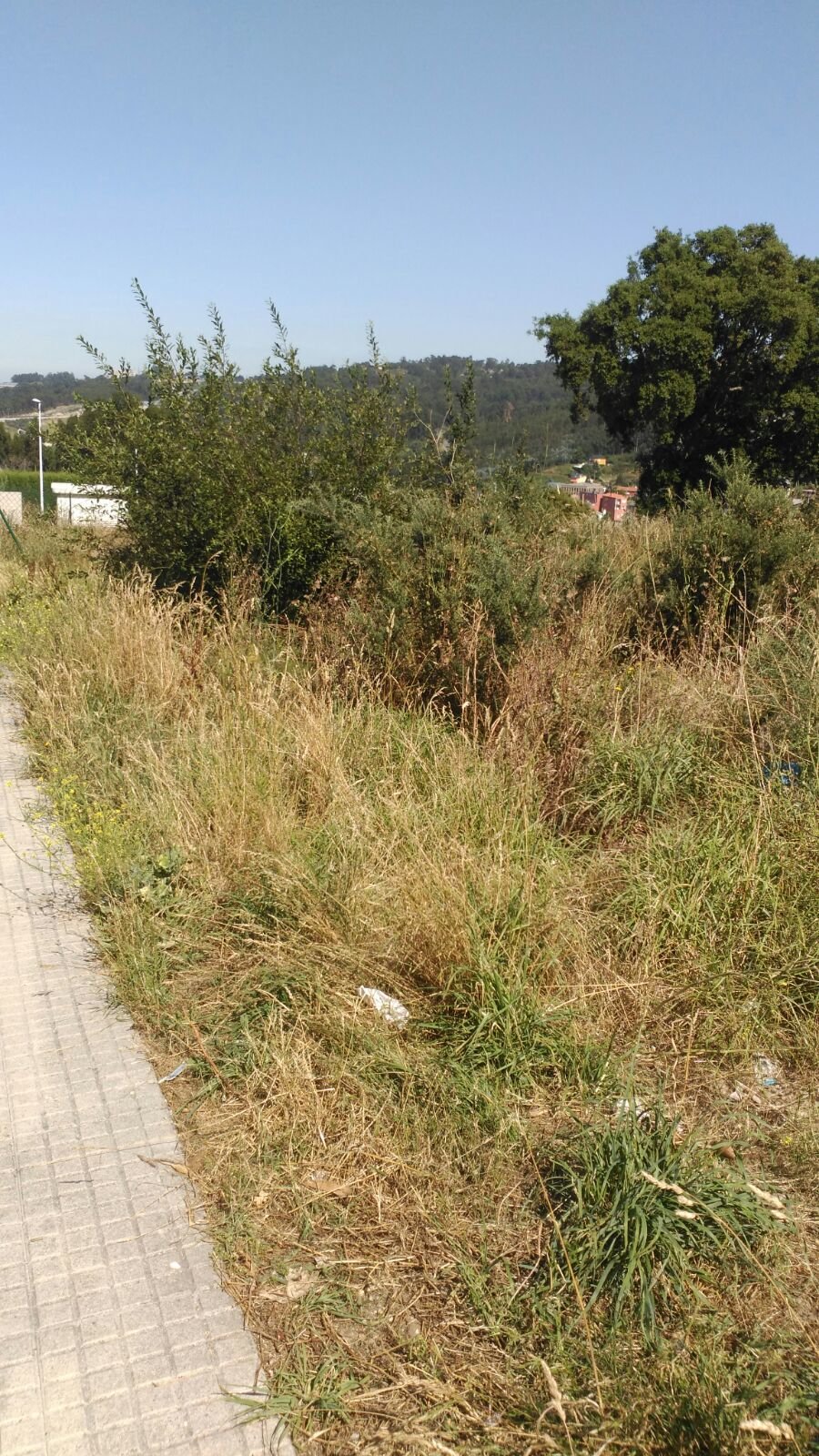 Estado actual dos terreos onde estaban antes as hortas urbanas de Novo Mesoiro