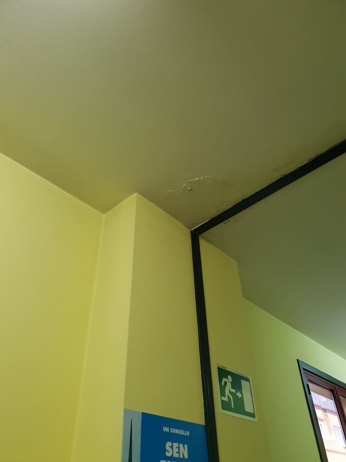 Pingueira no teito nun dos andares da Escola Municipal de Música.