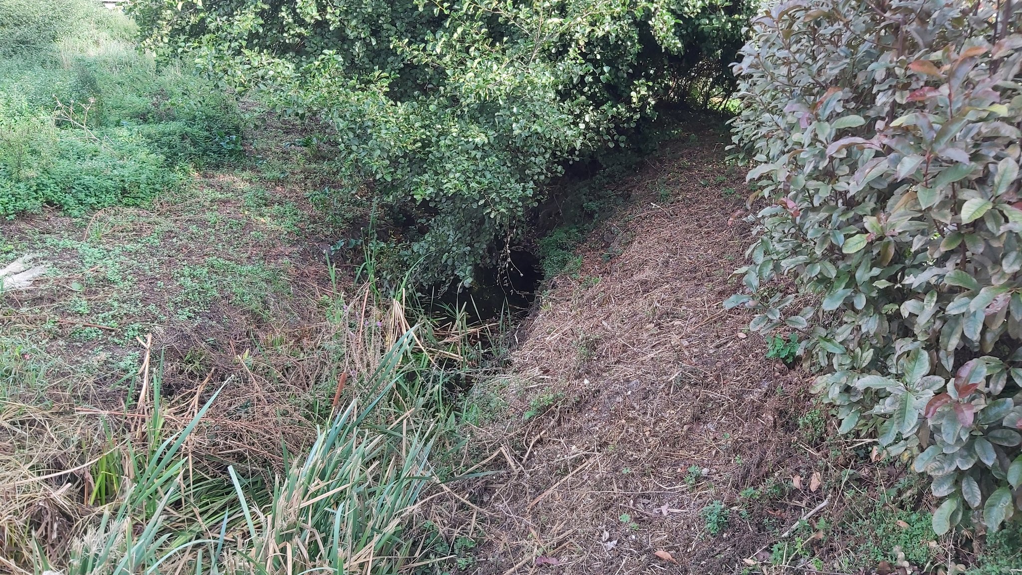 Río Mesoiro
